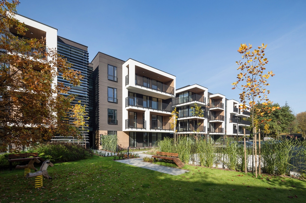 Cosmea Suite araliya krakow 017 a